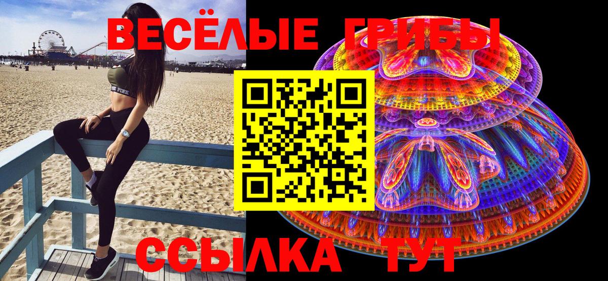 Галлюциногенные грибы Psilocybe  Псилоцибиновые грибы Magic Shrooms  Тверь  Вход с VPN 