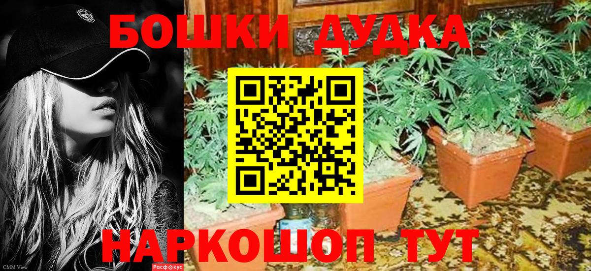 Бошки Шишки OG Kush  Канабис конопля  Каннабис AK-47  Тверь  Бошки Шишки гибрид  Вход с VPN 